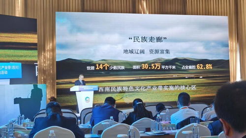 2021西南民族特色文化產業帶發展指南 總投資1960億元，開啟文化產業新篇章